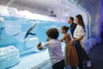 Dubai Aquarium And Underwater Zoo and Penguin Cove - Image 4