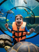 SeaWorld Abu Dhabi