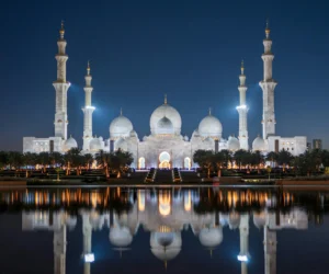 pexels horacio lander 1239977167 27644722 scaled